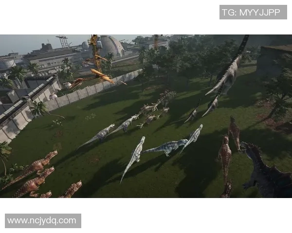 德岛漩涡与砺木的对决探秘两地文化与风景的奇妙交融